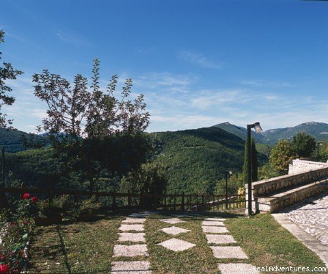 View of the entrance to the garden