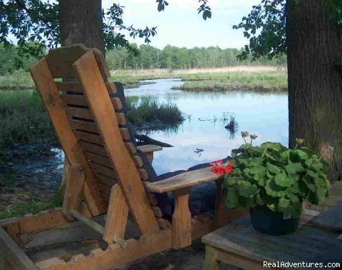 Creekside respite | The Dog Friendliest B+B at the Beach | Image #2/7 | 