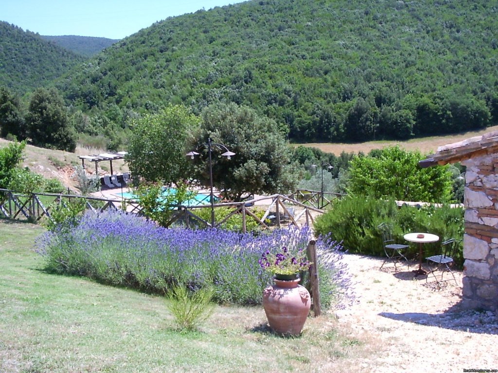 Charming B&B  Podere Costa Romana | Image #3/6 | 