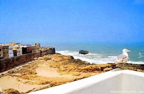 View from the roof terrace | Amazing Sunset At Dar Al Bahar - Essaouira | Image #2/9 | 