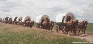 Family Adventure on Genuine Covered Wagon Train