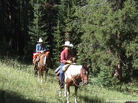 Bishop Blaze in Yellowstrone | Wilderness Horseback Pack Trips | Image #13/23 | 