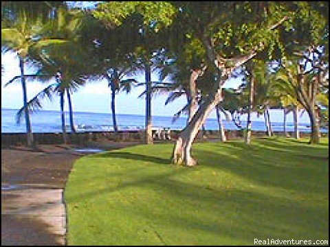 Pahoehoe Shoreline  Park | Absolute Oceanfront * Magnificent Sunsets | Image #6/9 | 