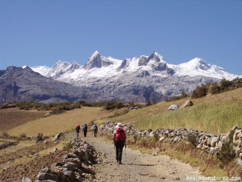 Trekking- Peru Mountain Explorers | Peruvian Adventure Expeditions Mountaineering 2016 | Image #7/10 | 