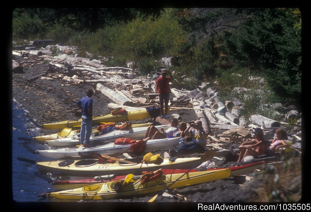 Lunch anyone | Best Sea Kayaking Adventures on Vancouver Island | Image #14/15 | 