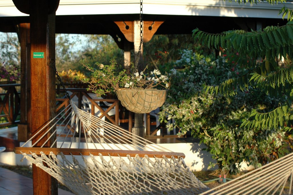 Gazebo and hammock | Englishman's bay,Parrot estate. Romantic adventure | Image #16/23 | 