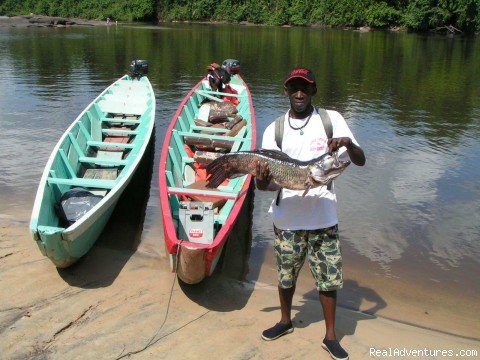 21 Days Suriname Exploration | Image #16/24 | 