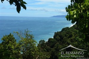 Luxury Rainforest Wildlife Lodge - Osa Peninsula