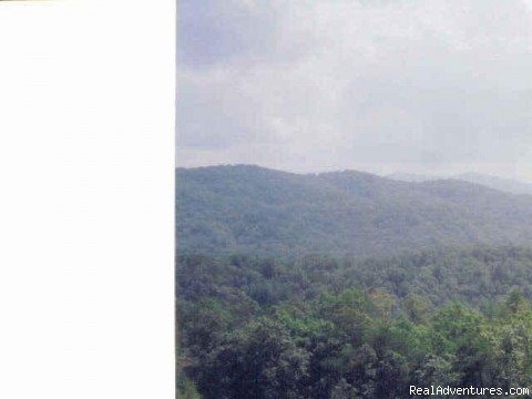 View from the cabin | Beautiful vacation log cabins in Blue Ridge, Ga. | Image #3/5 | 