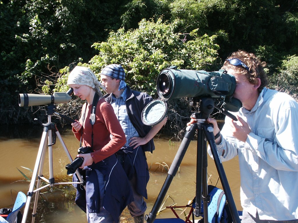 Observing Birds At The Lake | Explore Manu Rainforest and go Trekking in Peru | Image #4/5 | 