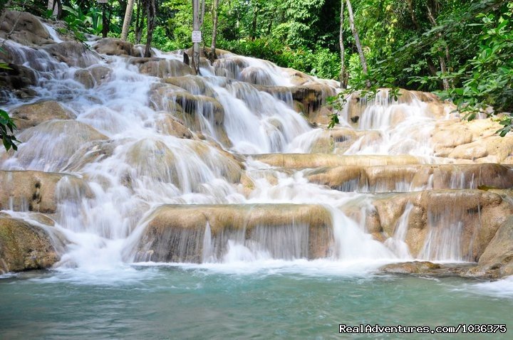 Depart NEGRIL - Ocho Rios | Adventure of a life time - Fly Drive Jamaica | Image #6/8 | 