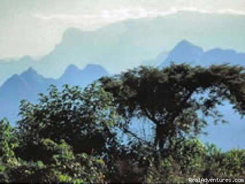 Semien mountain | Timeless Ethiopia Tour & Travel | Image #2/19 | 