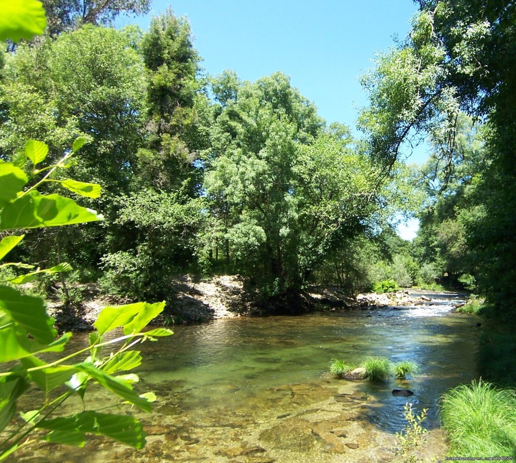 Place With Charme In The North Of Portugal | Image #4/6 | 