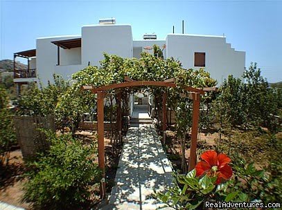 Villa Mata Pension Ios, Front View2