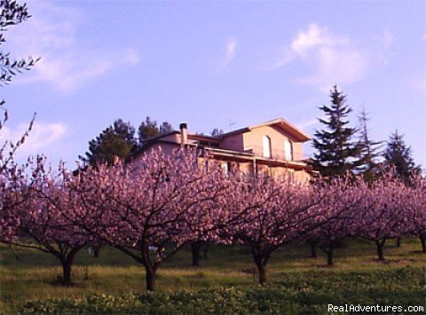 Beautiful apartments in Tuscany | Beautiful apartments along the Chianti road | Terricciola, Italy | Vacation Rentals | Image #1/9 | 