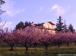 Beautiful apartments along the Chianti road