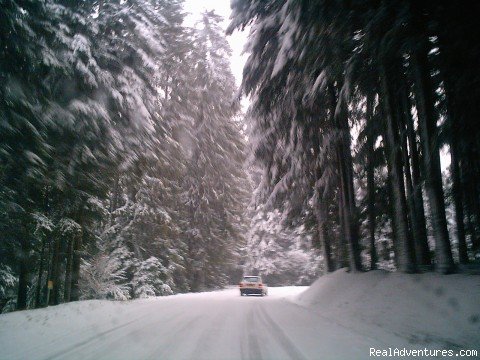 winter view | fantastic mountain views ,1hr from Medievil cit'y | Image #3/9 | 