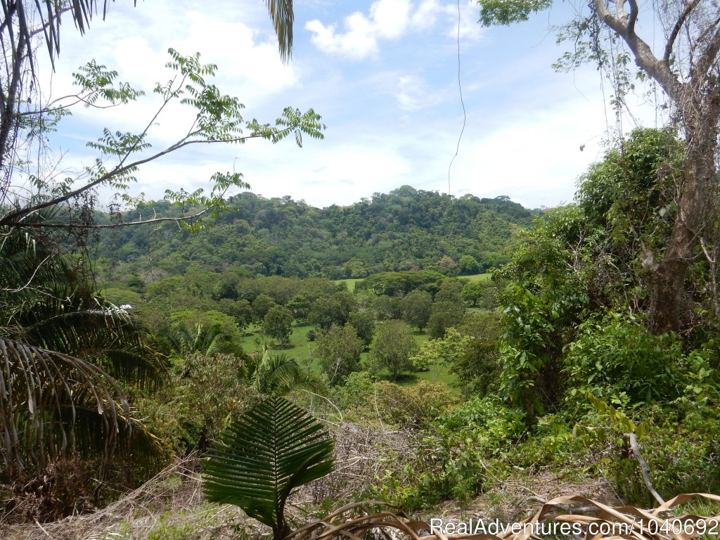 Birds Eye View | Horseback riding Jaco with Discovery Horse Tours | Image #6/13 | 