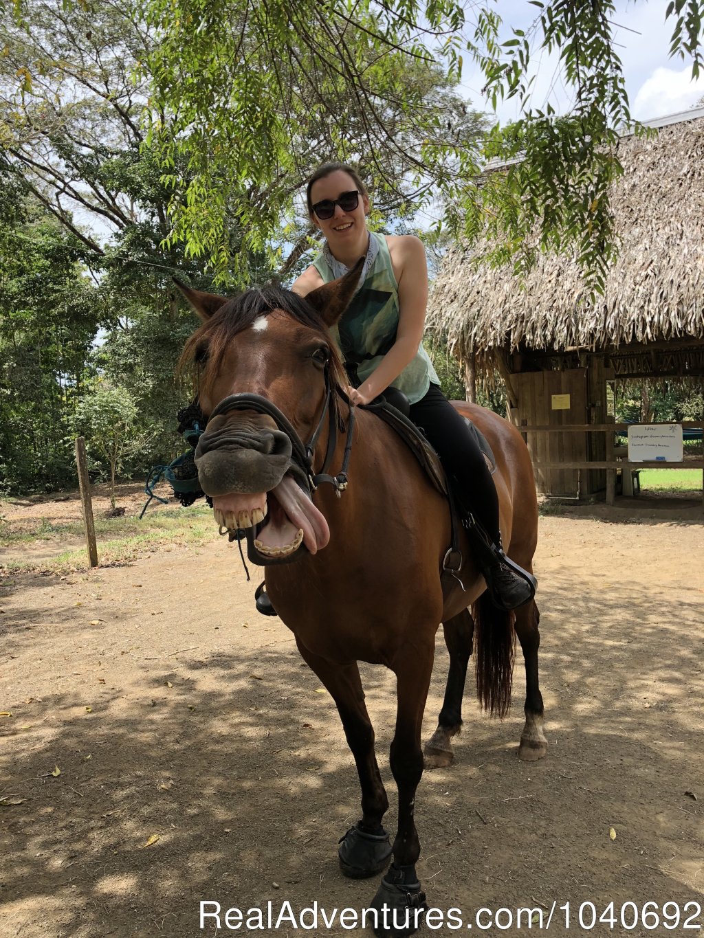 Horsing Around | Horseback riding Jaco with Discovery Horse Tours | Image #7/13 | 