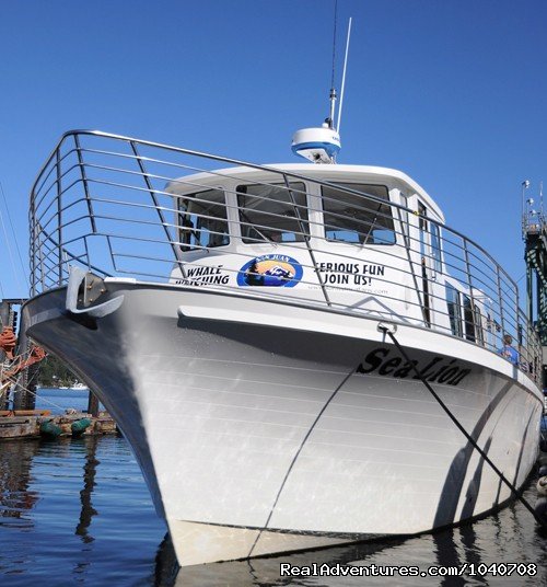 MV Sea Lion in her slip | Whale Watch& Wildlife Tours April - October | Image #15/24 | 