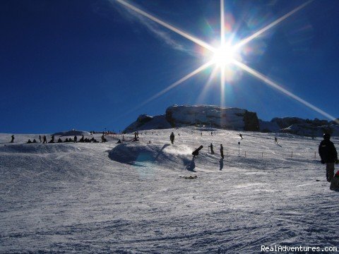 FAMOUS SNOWBOARD PARK GROSTE