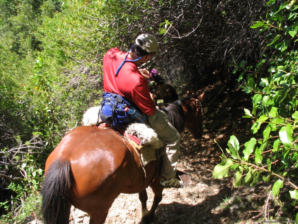 Adventure Travel Lodge in Scenic Patagonia Chile | Image #8/15 | 