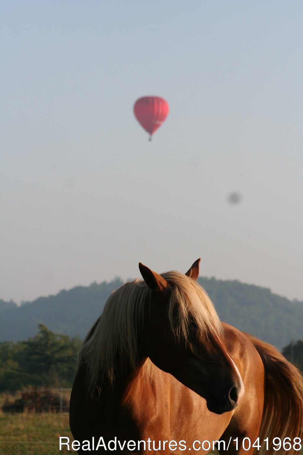 Exploring the South West of France | Image #15/23 | 