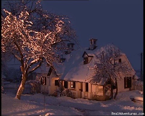 Photo #1 | Step Back in Time at Count Kalnokyi s Guesthouses | Miklosvar / Miclosoara, Romania | Bed & Breakfasts | Image #1/10 | 