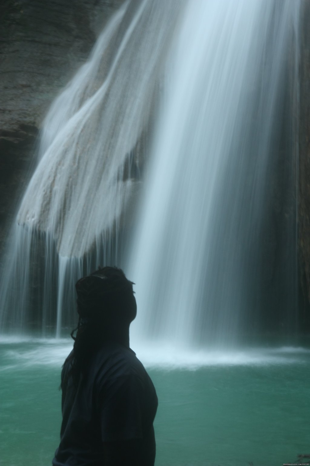 Refreshing Nature | Back To Eden Strawberry Fields Together Jamaica | Image #10/22 | 