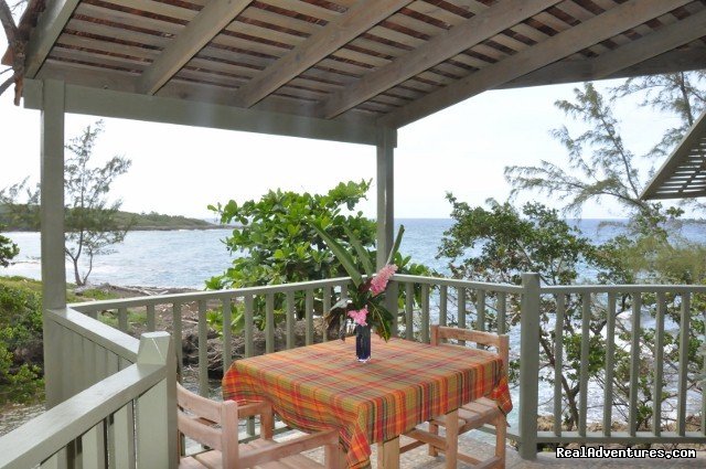 Dinner For 2 On Your Own Veranda Overlooking The Sea | Back To Eden Strawberry Fields Together Jamaica | Image #11/22 | 