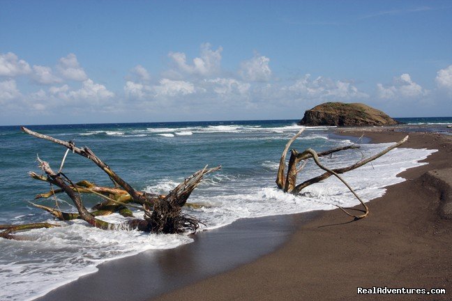 Black sand beach- isloated and natural | Back To Eden Strawberry Fields Together Jamaica | Image #20/22 | 