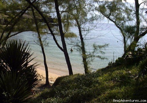 Swim, Snorkel Enjoy Private Beach Cove | Back To Eden Strawberry Fields Together Jamaica | Image #5/22 | 