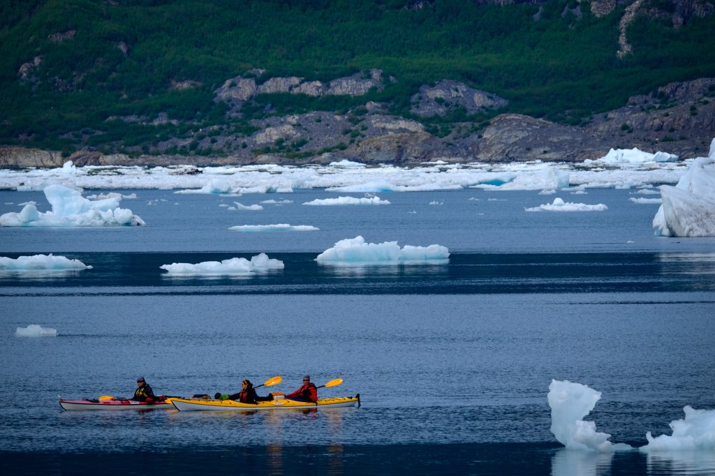 Paddle Columbia Bay | Prince William Sound Sea Kayaking and Hiking Tours | Image #9/13 | 