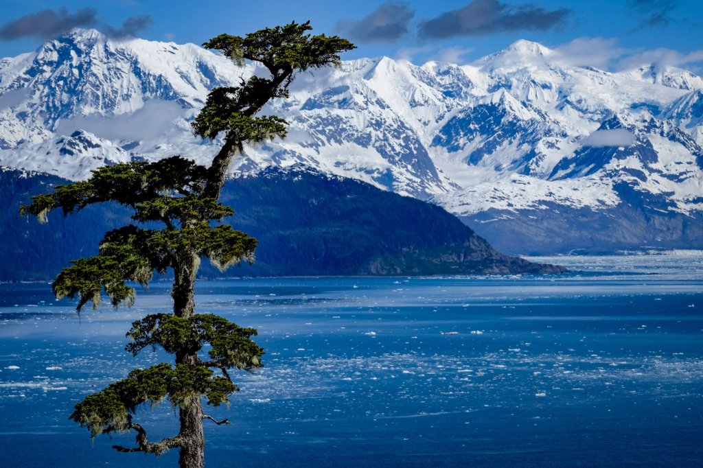 Columbia Bay | Prince William Sound Sea Kayaking and Hiking Tours | Image #3/13 | 