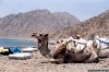 Dive Dahab Red Sea with Desert Divers | Dahab, Egypt