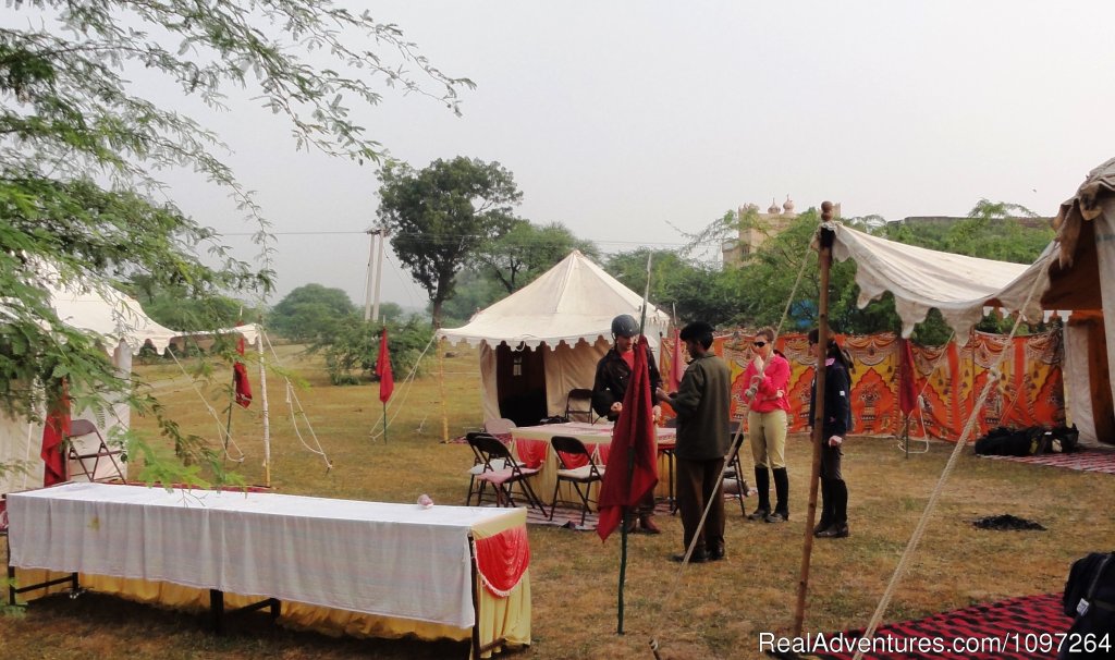 Our Safari Camp | Horsebacksafaris on Marwari Horses in Rajasthan | Image #16/26 | 