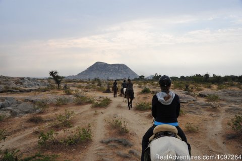 Desert Ride