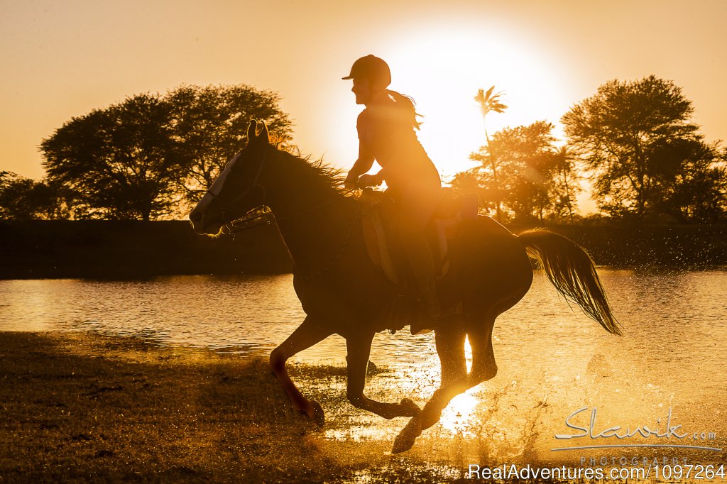 Fun, fun, fun | Horsebacksafaris on Marwari Horses in Rajasthan | Image #4/26 | 