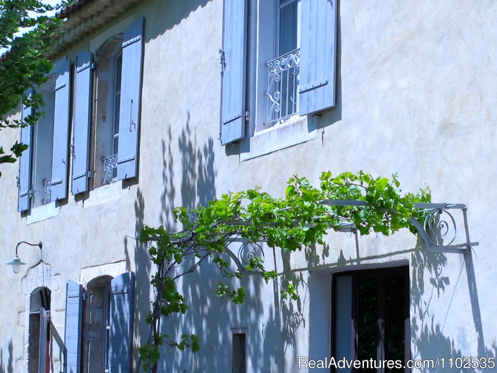 Provencal Vineyards Tonnelle | Charming Holidays Rental & Guest House | Image #22/22 | 