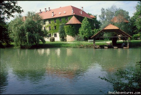 one of our castle hotels