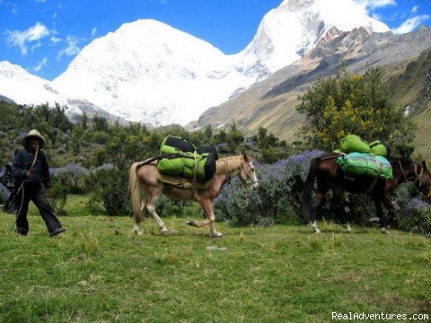 Cordillera Blanca Trekking