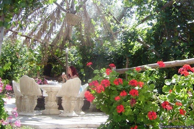 Breakfast Area B&B Casa Mazzola | Sorrento B&B Casa Mazzola Relax and Comfort. | Image #2/3 | 