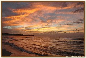 Nirvana On The Beach, Negril Jamaica