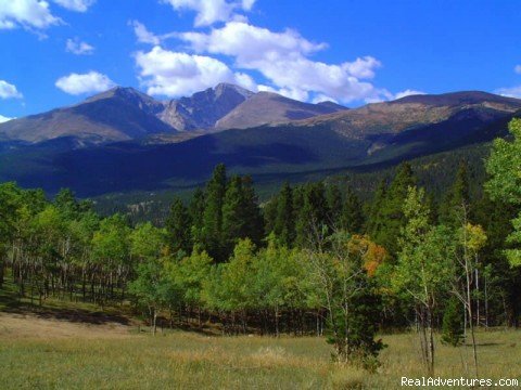 The Upper Meadow | A Christian Family Dude and Guest Ranch | Image #3/7 | 