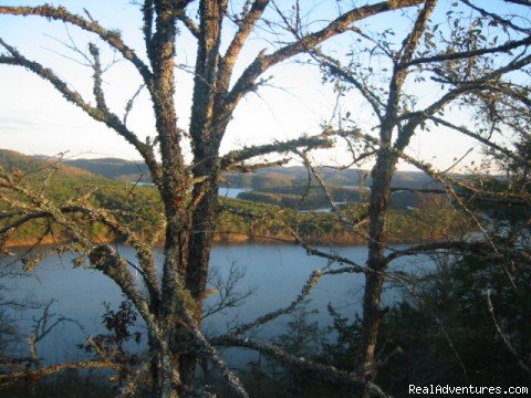 Broken Bow Lake | Resort Cabin Rentals near Beavers Bend State Park | Broken Bow, Oklahoma  | Vacation Rentals | Image #1/16 | 