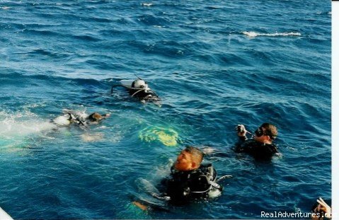 Ambergris Divers...Immerse Yourself in Our World | Ambergris Caye, Belize | Scuba Diving & Snorkeling | Image #1/9 | 