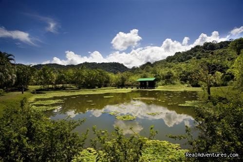 lake | Lands in love hotel & resort | Image #8/10 | 