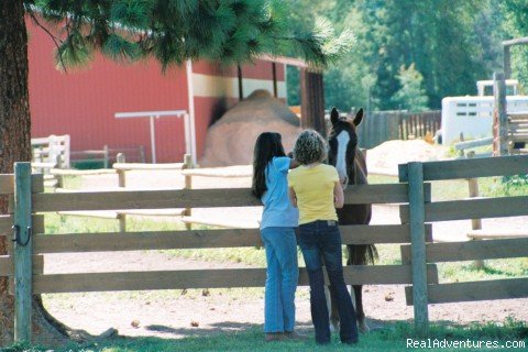 Where new freinds are made | Dude Ranch Canada | Image #6/6 | 