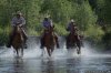 Dude Ranch Canada | Cranbrook, British Columbia