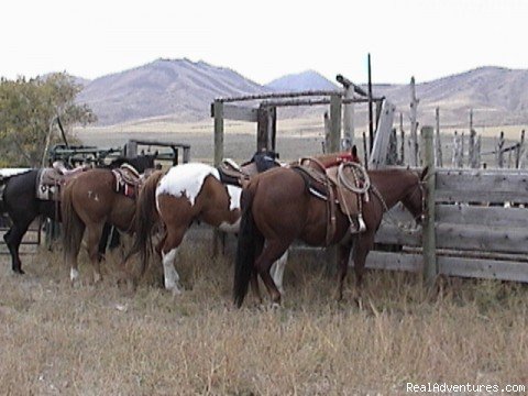 Photo #2 | Three Day Ranch Adventure on Sunrise Seven Ranch | Image #2/2 | 